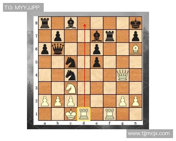 深圳排球队技术对比深度解析与战术优势探讨